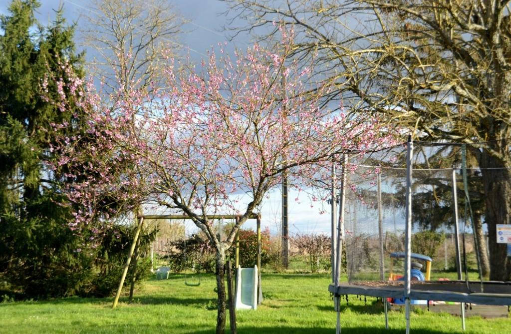 Chambres d'Hôtes La Prévôté Périssac Esterno foto